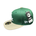 کلاه کپ فیت بک سبز sox