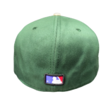 کلاه کپ فیت بک سبز sox